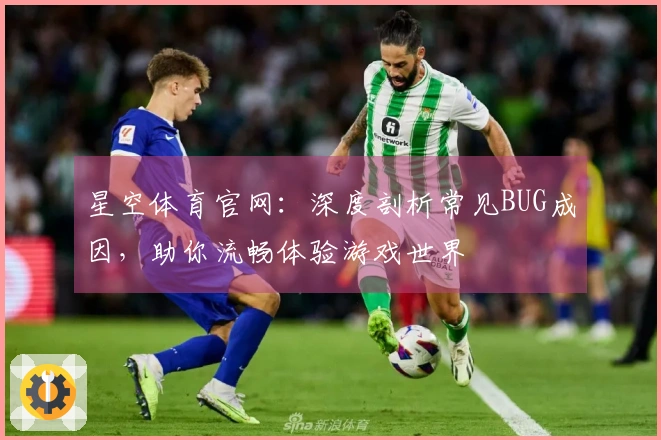 星空体育官网：深度剖析常见BUG成因，助你流畅体验游戏世界