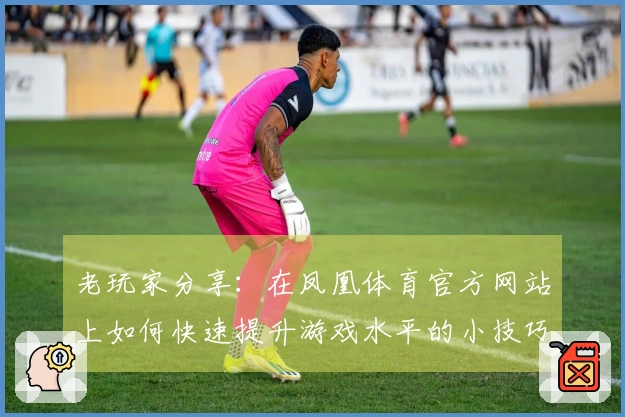 老玩家分享：在凤凰体育官方网站上如何快速提升游戏水平的小技巧