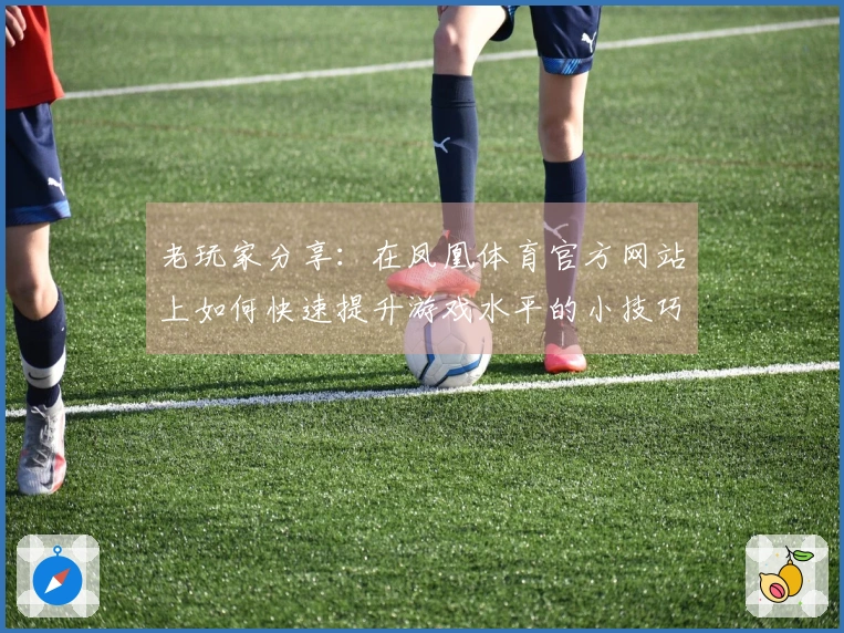 老玩家分享：在凤凰体育官方网站上如何快速提升游戏水平的小技巧