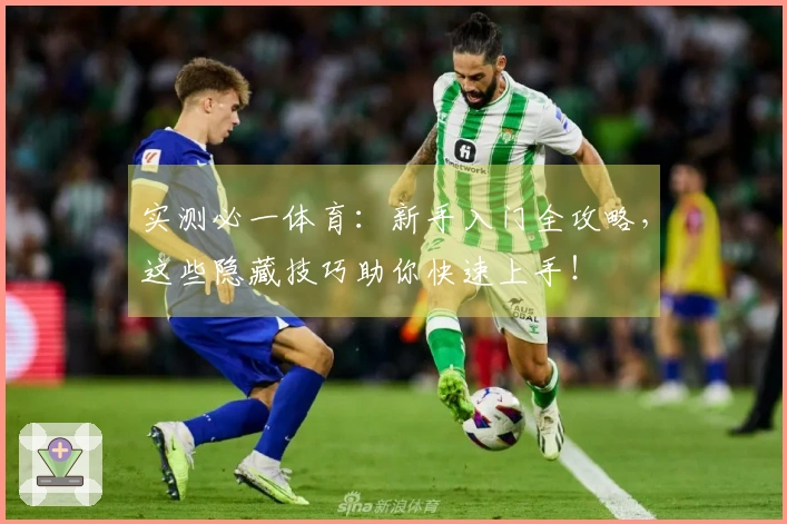 实测必一体育：新手入门全攻略，这些隐藏技巧助你快速上手！