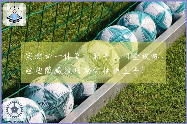 实测必一体育：新手入门全攻略，这些隐藏技巧助你快速上手！